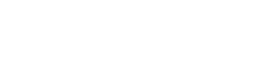 Дійсність